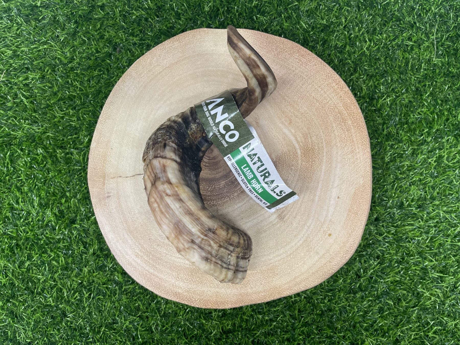 Giant Lamb Horn